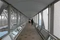 渦の道の写真_280283