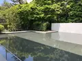鈴木大拙館の写真_280790