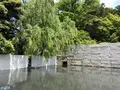 鈴木大拙館の写真_280791