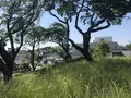 赤羽台団地の写真_281185
