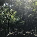 赤羽自然観察公園の写真_281190