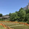 赤羽自然観察公園の写真_281194