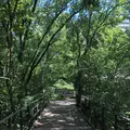 赤羽自然観察公園の写真_281196