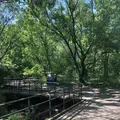 赤羽自然観察公園の写真_281197