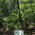 赤羽自然観察公園の写真_281199