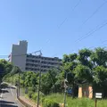 赤羽自然観察公園の写真_281200