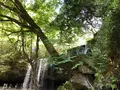 鍋ヶ滝の写真_281318