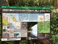 鍋ヶ滝の写真_281320
