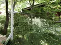 cafe Karinの写真_281327