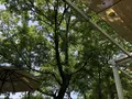 cafe Karinの写真_281328