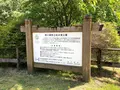 立岩水源公園の写真_281331