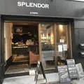 Splendorの写真_281365