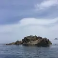 但馬海岸遊覧船の写真_281383