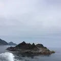 但馬海岸遊覧船の写真_281384