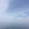 但馬海岸遊覧船の写真_281393