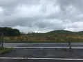 秋吉台の写真_281674