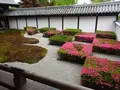 東福寺の写真_282101