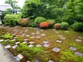 東福寺の写真_282104
