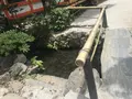 上賀茂神社（賀茂別雷神社）の写真_282286