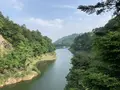 回顧の吊橋の写真_282299
