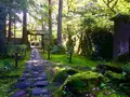 平泉寺白山神社の写真_282372