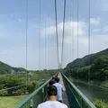 森林の駅　もみじ谷大吊橋の写真_282518