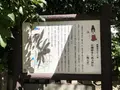 石園座多久虫玉神社の写真_282551