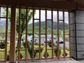 L’Auberge de Plaisance Sakurai オーベルジュ・ド・ぷれざんす 桜井の写真_282648