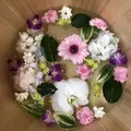 嵐湯 伏見稲荷店の写真_283066