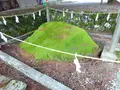 長滝白山神社の写真_283549