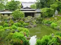 建仁寺塔頭 両足院の写真_283793