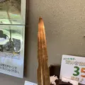 荒神谷遺跡の写真_284028