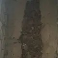 神原神社古墳の写真_284033