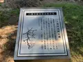 八岐大蛇公園の写真_284048