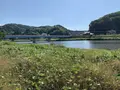 八岐大蛇公園の写真_284056