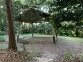 玉作湯神社の写真_284072