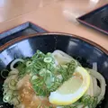 本格手打うどん はゆかの写真_284318