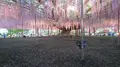 あしかがフラワーパークの写真_284448