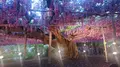 あしかがフラワーパークの写真_284450