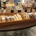 ボリジの写真_284624