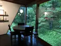 ボリジの写真_284625