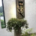 ボリジの写真_284627