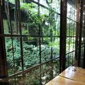 石心の写真_284670