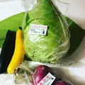那須いちやホテルの写真_284930