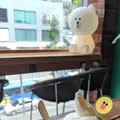 line Friends Store, 梨泰院旗艦店の写真_285307
