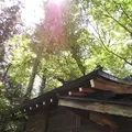 穂高神社の写真_285970