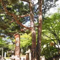 四柱神社の写真_286085