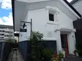 中町通りの写真_286244