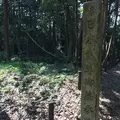 能褒野神社の写真_286559