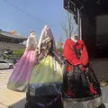 景福宮/キョンボックン/경복궁の写真_286592